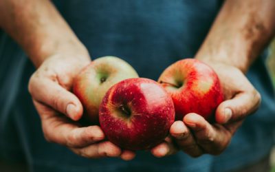 Para una vida sana, lleva contigo una manzana