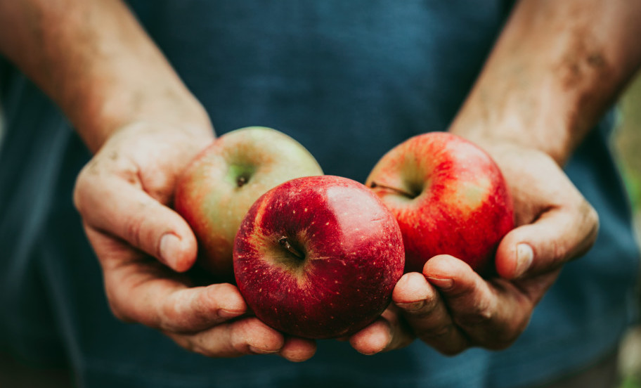 Para una vida sana, lleva contigo una manzana