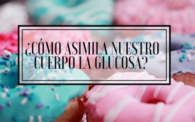 ¿Cómo asimila nuestro cuerpo la glucosa?