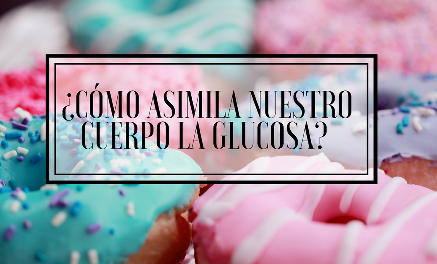 insulina glucosa insulina glucosa